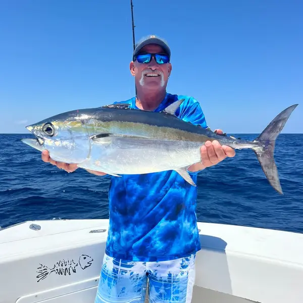 Angler holding a tuna caught in the Gulf Stream off Jupiter, Florida