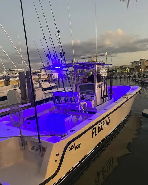 Tom Cat lit up with blue underwater lights at night