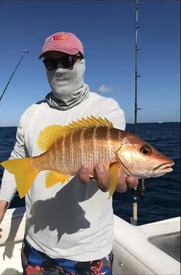 Angler with a colorful hogfish caught off Jupiter