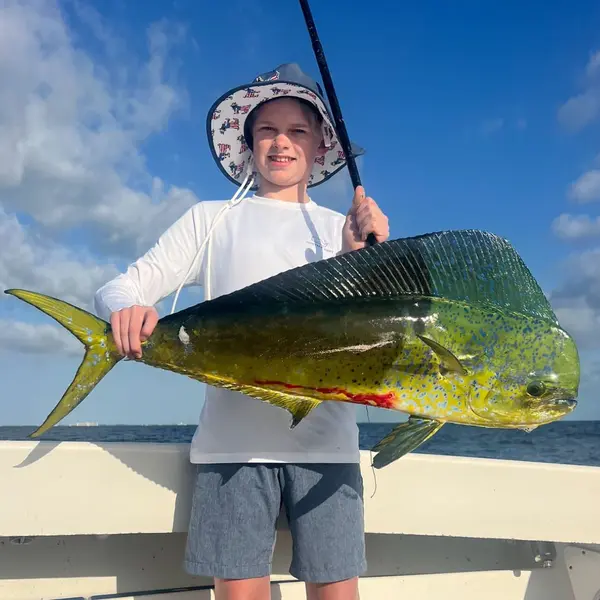 Young angler in a sun hat holding a big bull mahi-mahi aboard Tom Cat off Jupiter, FL