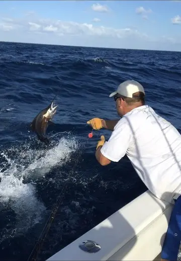 Sailfish leaping out of the water next to the boat during the fight