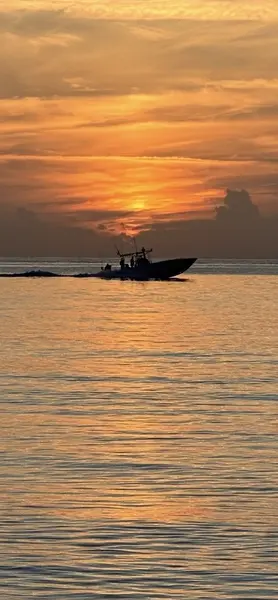 Tom Cat running across calm water at sunset