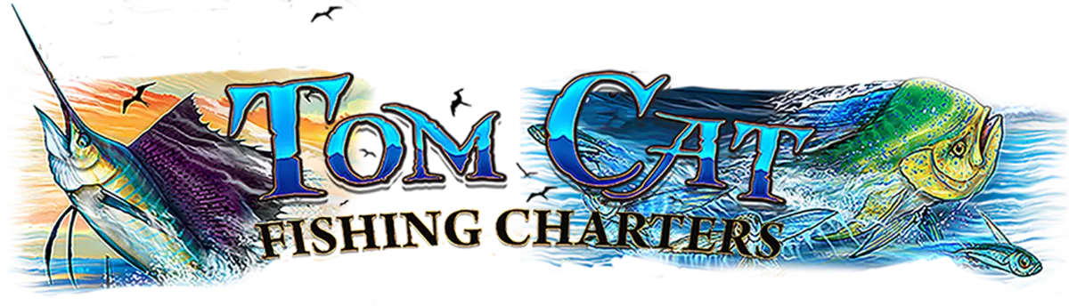 Tom Cat Fishing Charters